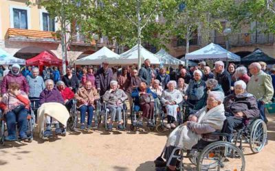 excursiones de un dia para mayores