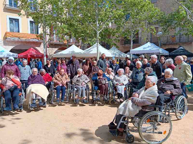 excursiones de un dia para mayores